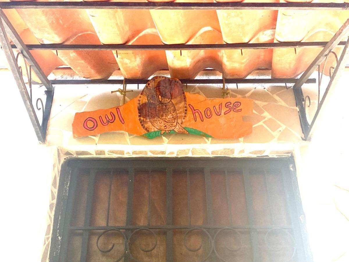 Owl House Hotel Piedades Exterior foto