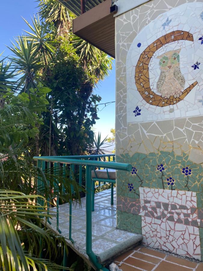 Owl House Hotel Piedades Exterior foto